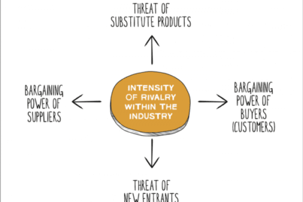 Pourquoi les 5 forces de Porter ?